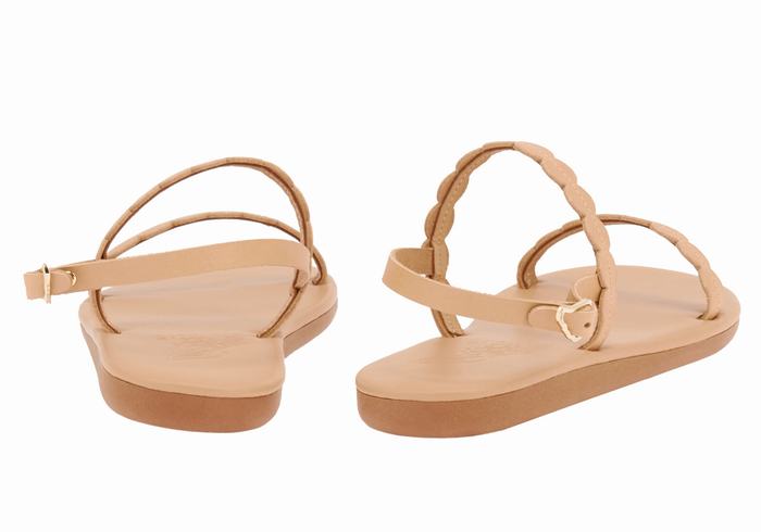 Sandales Bride Arrière Ancient Greek Sandals Aroula   | BAD-4913019